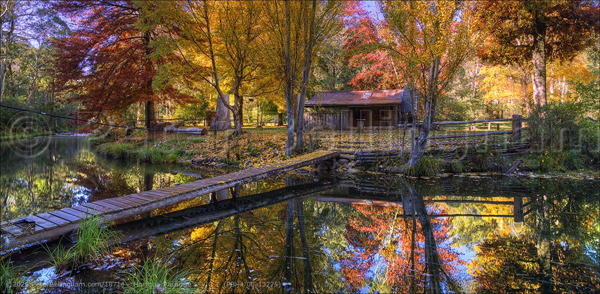 Peter Bellingham Photography Howqua Paradise - VIC T (PBH4 00 13775)
